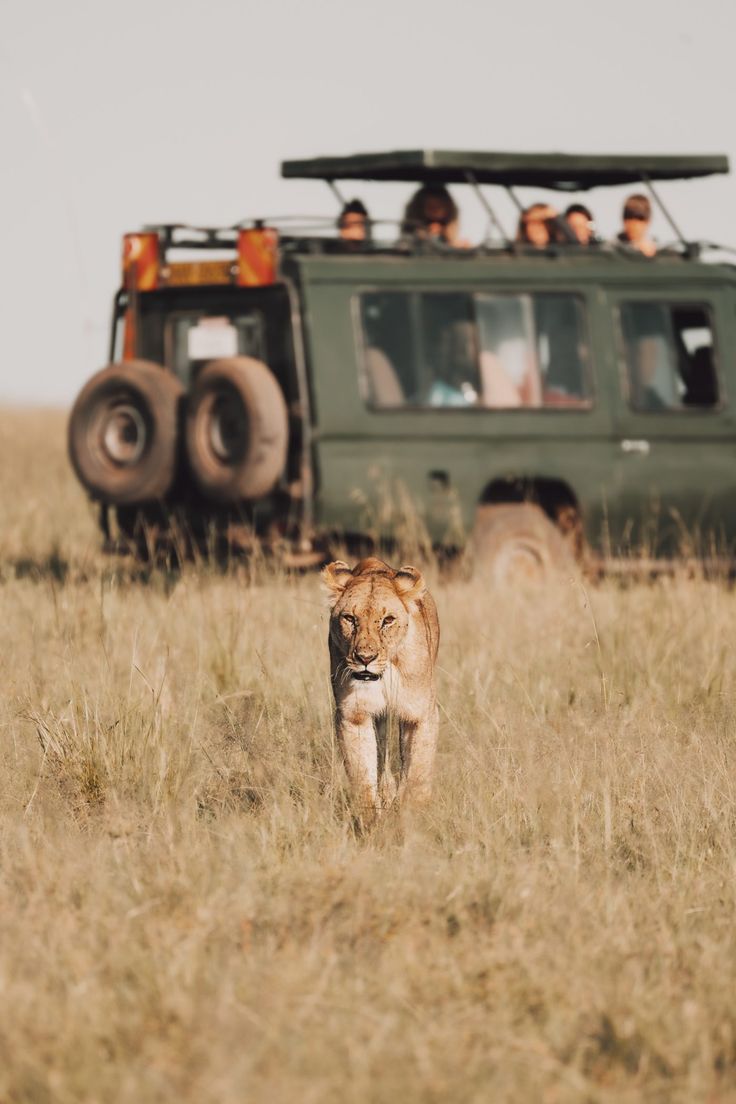 Maasai Mara 3